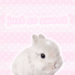 just so sweet