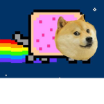 All Things Doges