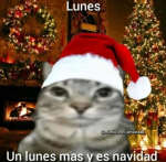 Las cuijis