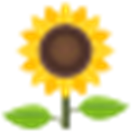 Onikа
