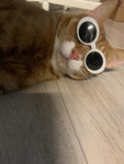재아방