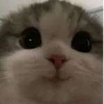 cvultts