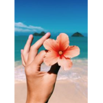 ~oceqnshores~