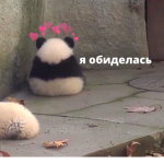 po n chi ki