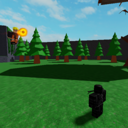Naruto combat