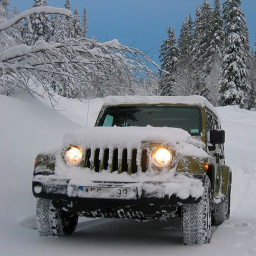 Truck Mountain