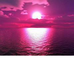 pink vibes