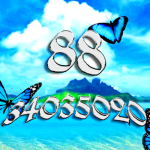 88 FG