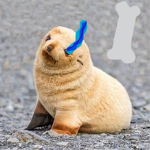 SuperSeals