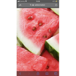 3watermelons