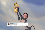 #Doge Squadren