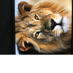 LIONS ARE BEST