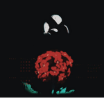 Donation Studios Offical