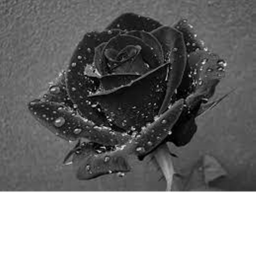 only me