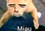 Las mas pepes