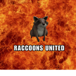 Raccoons United :)