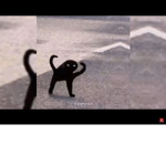Kitty hit