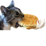 meme studios lol