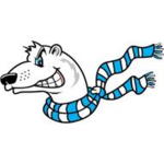 Chicago Polar Bears [HOCKEY]
