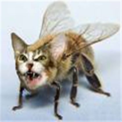 scary cat-bee Roblox decal