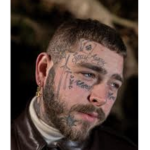 The post malone fan page