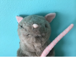 The Smarty Rats