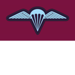 3rd Battalion Royal Australian Regiment