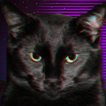 Black Cat Group