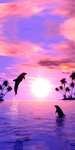 Img-0003.jpeg