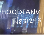 H00DIANV