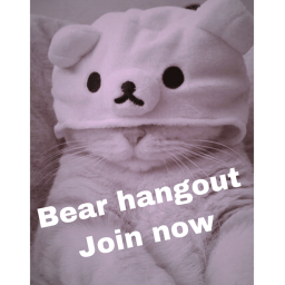 Bear Hangout