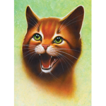 Erin Hunter's Warriors Fan Club!
