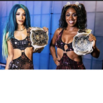 My WWE FAN CLUB!!!