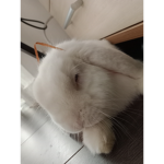 Ananas Kawaii