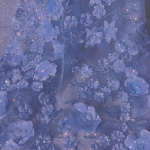 Sparkles Pirouettes