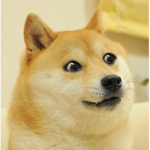 The Doge Payout
