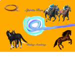 Spirits Run Riding Academy