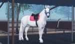 ~ The BridleWay Riding Academy ~