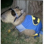 Team vacas uwu