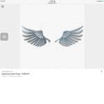Wings of Raiders