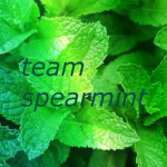 team spearmint