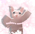 King Bingus’s Boat of Pawsome Cats