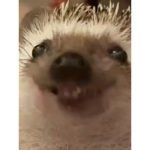 Demon freak