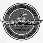 Recon Advanced Forces