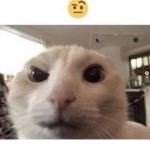 Choco’s Group purrr