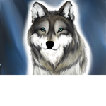 Wolf Pack : Darkness Rising