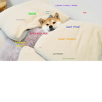 Doge man Studios