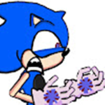 Sonic fan club group
