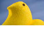 Investigator peeps