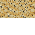 da epic cat